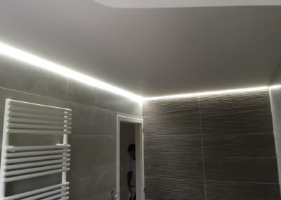 plafond tendu luxtend